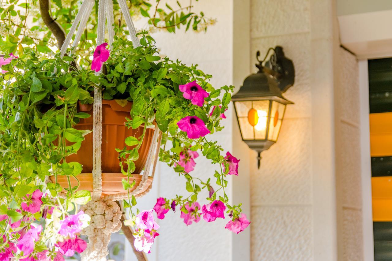 Apartments Villa Camellia - Adults Only Supetar Εξωτερικό φωτογραφία
