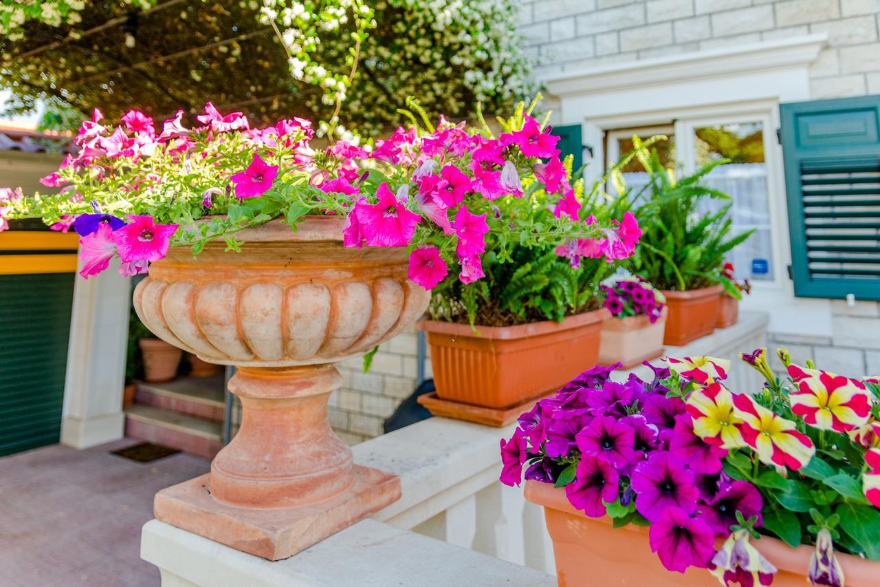 Apartments Villa Camellia - Adults Only Supetar Εξωτερικό φωτογραφία